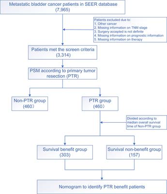 A Model for Identifying Optimal Patients for Primary Tumor Resection in Patients With Metastatic Bladder Cancer